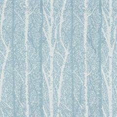 GW 0001 27205 BIRCH WEAVE Frost Scalamandre Fabric