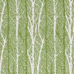 GW 0002 27205 BIRCH WEAVE Spring Green Scalamandre Fabric