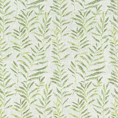 GW 0002 27211 WILLOW WEAVE Spring Green Scalamandre Fabric