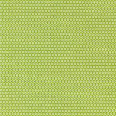 GW 0003 27209 HONEYCOMB WEAVE Kiwi Scalamandre Fabric