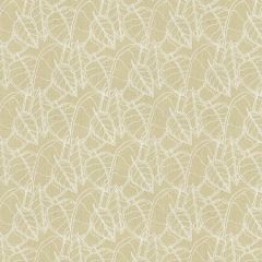 GWF-2929-101 FALL White Groundworks Fabric