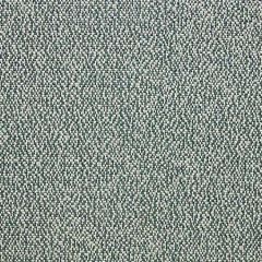 H0 0002 4251 KATMANDOU Eucalyptus Scalamandre Fabric