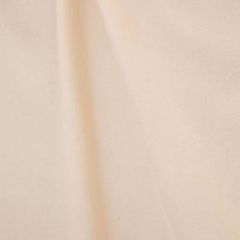 H0 L006 0795 DANDY Poudre Scalamandre Fabric
