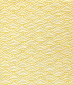 8180W-03 SETO II Inca Gold on White Quadrille Fabric