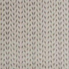 PF50426-3 CARNIVAL CHEVRON Silver Baker Lifestyle Fabric