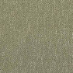PF50486-735 GARDEN PATH Green Baker Lifestyle Fabric