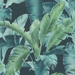 RH536690 Orissa Dark Blue Palm Frond Brewster Wallpaper