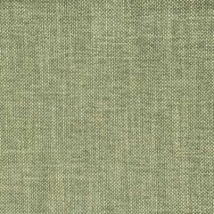 S2354 Eucalyptus Greenhouse Fabric