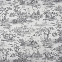 S2575 Pewter Greenhouse Fabric
