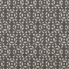 S4111 Pewter Greenhouse Fabric