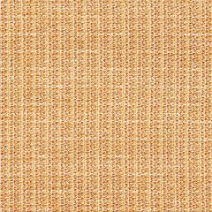 SC 0003 27257 HIGHLAND CHENILLE Sunset Scalamandre Fabric