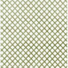 26692M-017 POMFRET Green Tea Scalamandre Fabric