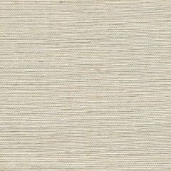 WSS4503 METALLIC SISAL Parchment Winfield Thybony Wallpaper
