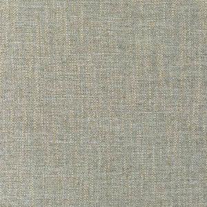 35904-13 PASARO Natural Kravet Fabric