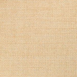 36302-116 Kravet Fabric