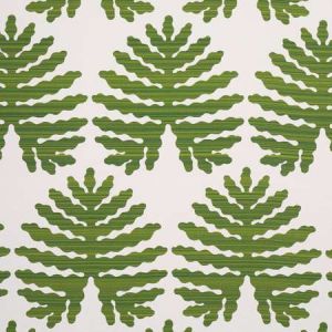 79181 PALMA SOLA INDOOR OUTDOOR Green Schumacher Fabric