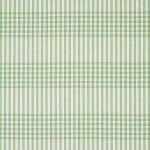 80804 BERGEN PLAID Green Schumacher Fabric