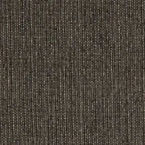 D1956 Carbon Charlotte Fabric