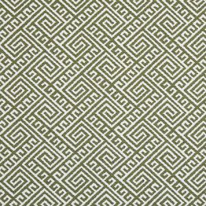 D2553 Lime Charlotte Fabric