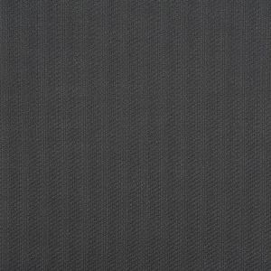 DG-10366-019 RINGMASTER Dark Grey Donghia Fabric