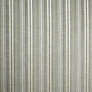 F3867 Tranquil Greenhouse Fabric