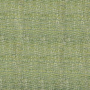 S4557 Endive Greenhouse Fabric