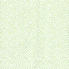 622-27 JAVA PETITE Lime On White Quadrille Wallpaper
