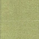 AM100329-3 NEVADA Meadow Kravet Fabric