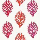 GW 0001 27204 CORAL REEF EMBROIDERY Passion Fruit Scalamandre Fabric