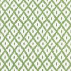 35762-13 PITIGALA Green Kravet Fabric